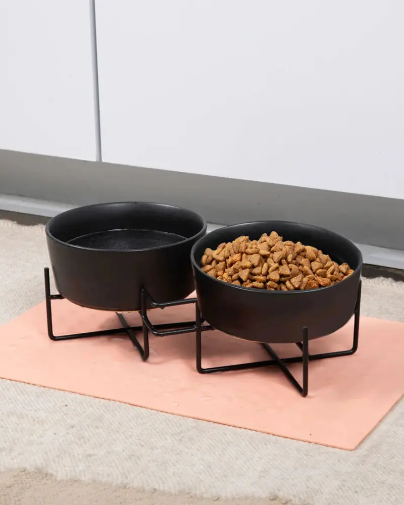 Simple Solid Double Feeder Bowl + Bowl Stand In Black 1