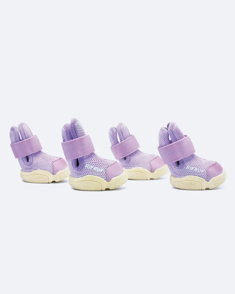 Caesar Dog Sneakers In Taro 1