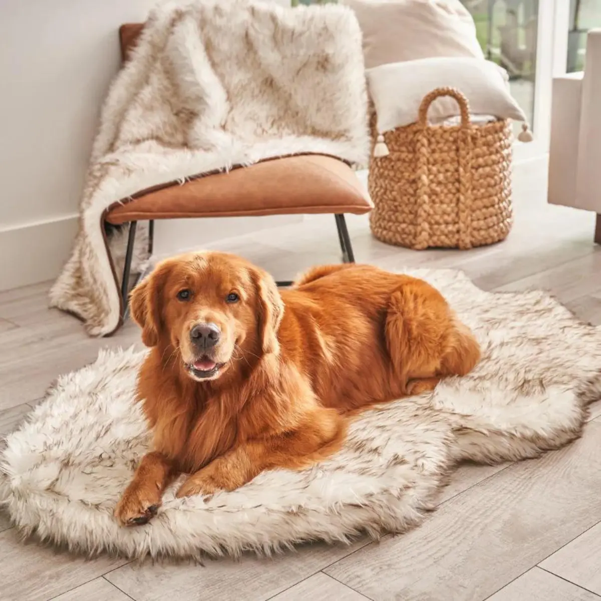 Faux Fur Orthopedic Dog Bed - Curve White With Brown Accents (Clearance) 1