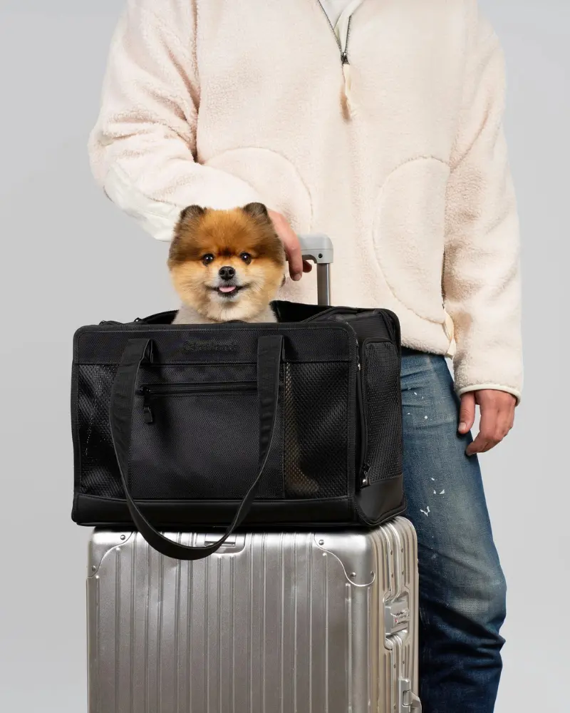 City To Sky Pet Travel Carrier 1