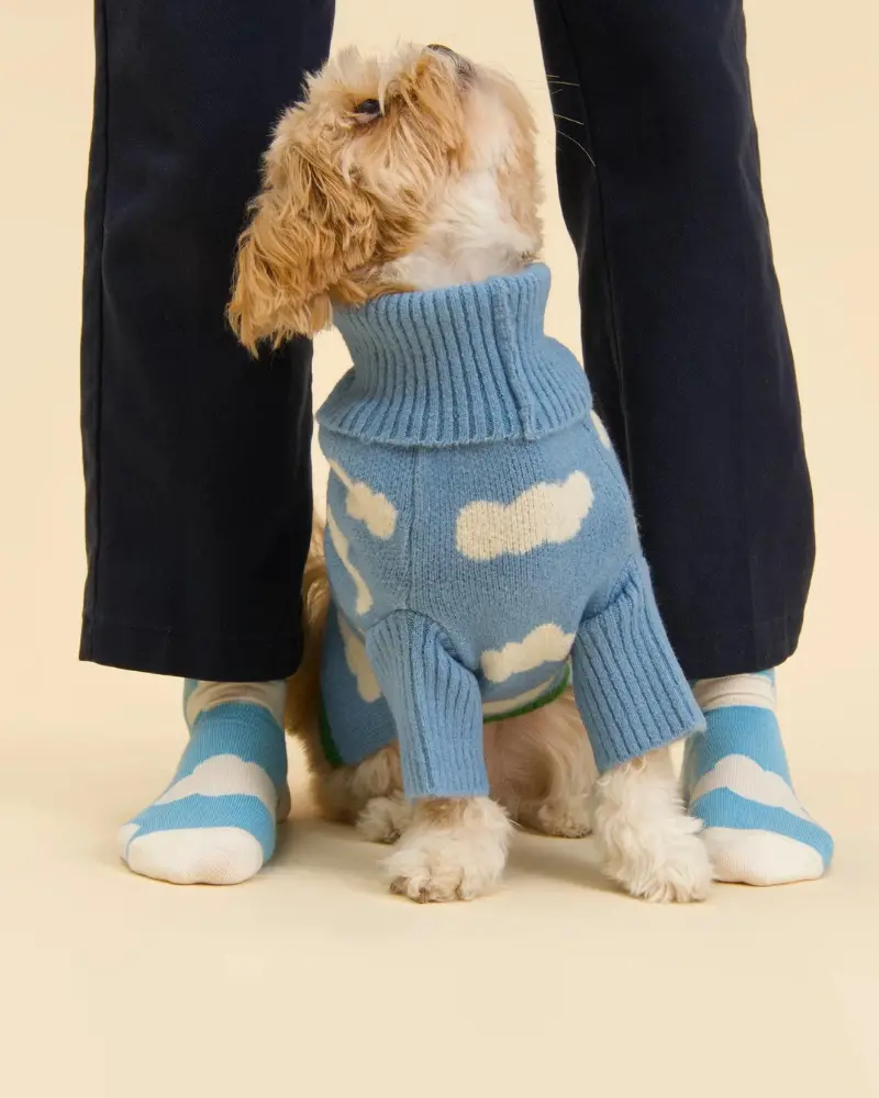 Silver Linings Sweater Matching Human Socks 1