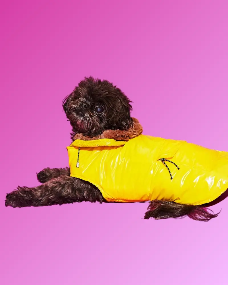 Shiny Puffer Dog Jacket W/ Faux Fur Hood (Made In The Usa) (Final Sale) 1