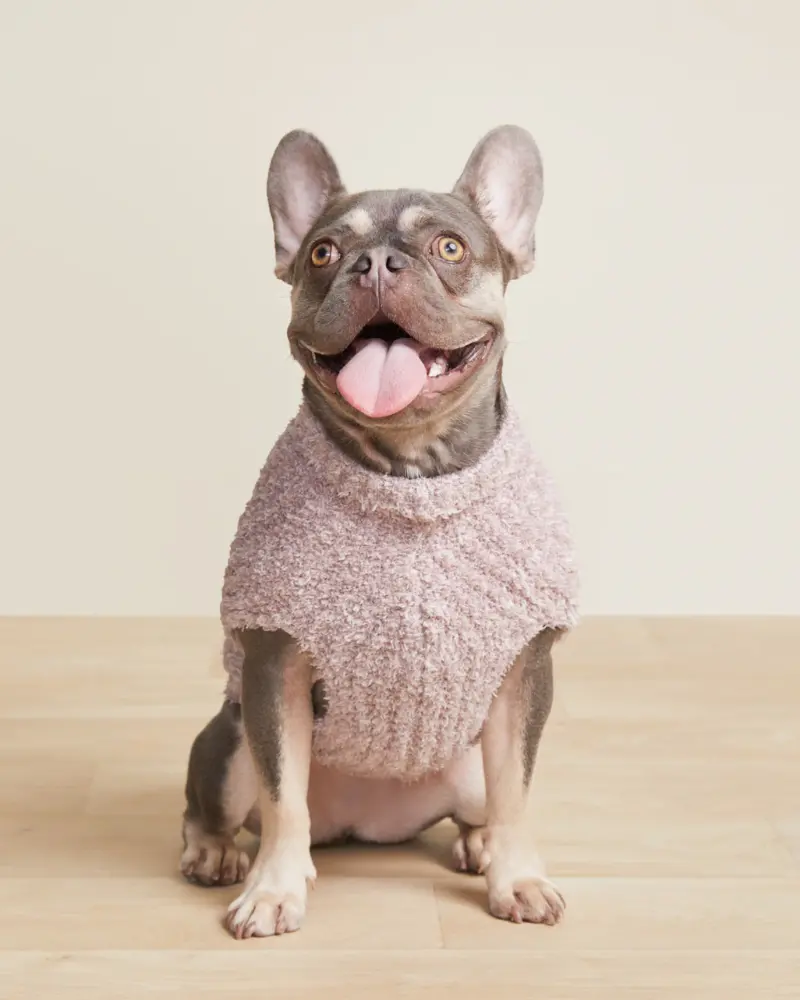 Cozychic® Ribbed Pet Sweater In Heathered Vintage Rose (Final Sale) 1