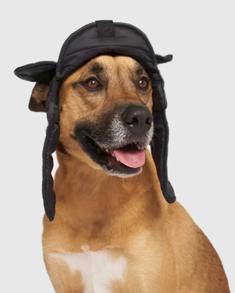 Faux-Down Dog Puffer Hat (Final Sale) 1