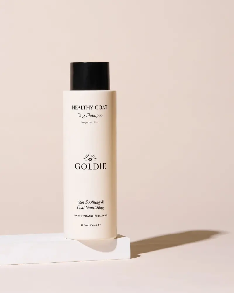 Healthy Coat Dog Shampoo 1