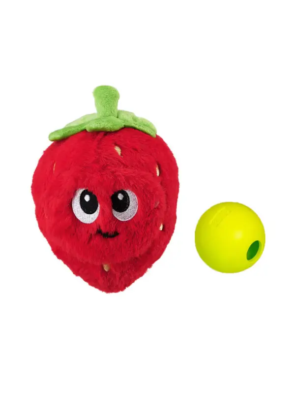 Fruity Plush + Interactive Dog Toy 1