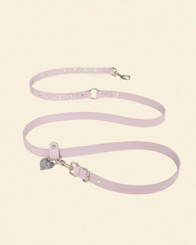 You Mean The World To Me Dog Leash In Lilac 1