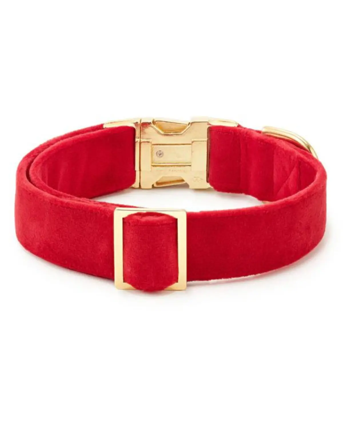 Cranberry Velvet Dog Collar (Final Sale) 3
