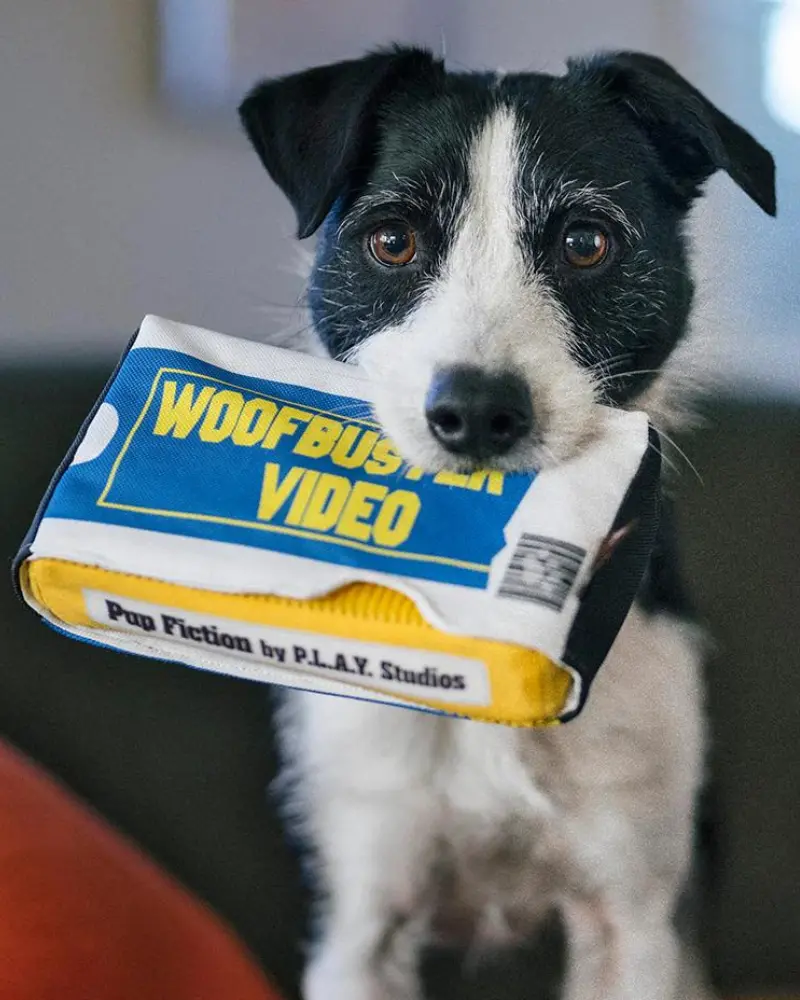Woofbuster Video Squeaky Plush Dog Toy 1