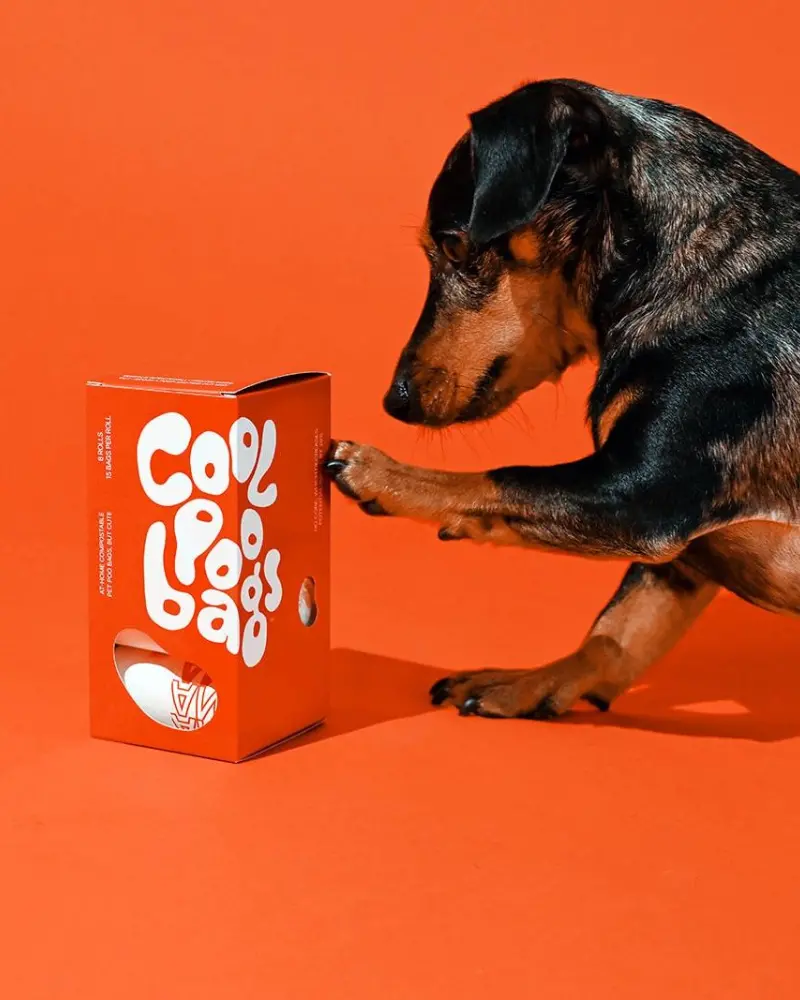 The Thank You Dog Poo Bags 1