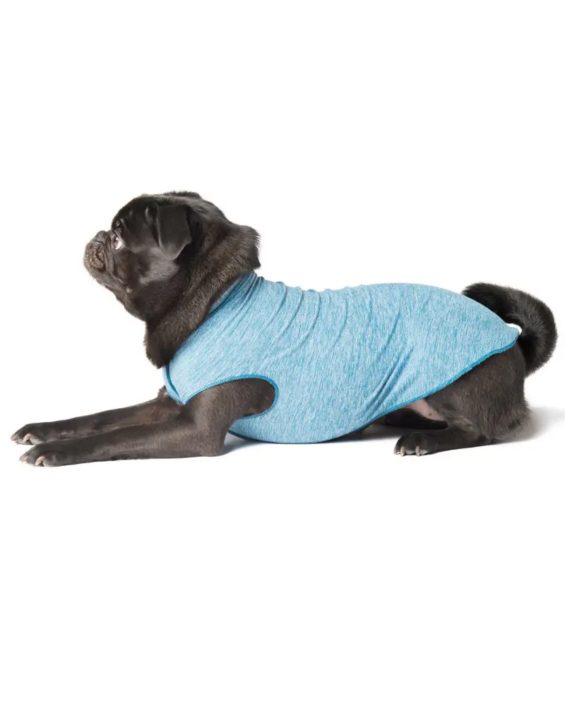 Sun Shield Dog Tee In Ocean Blue (Made In The Usa) (Final Sale) 1