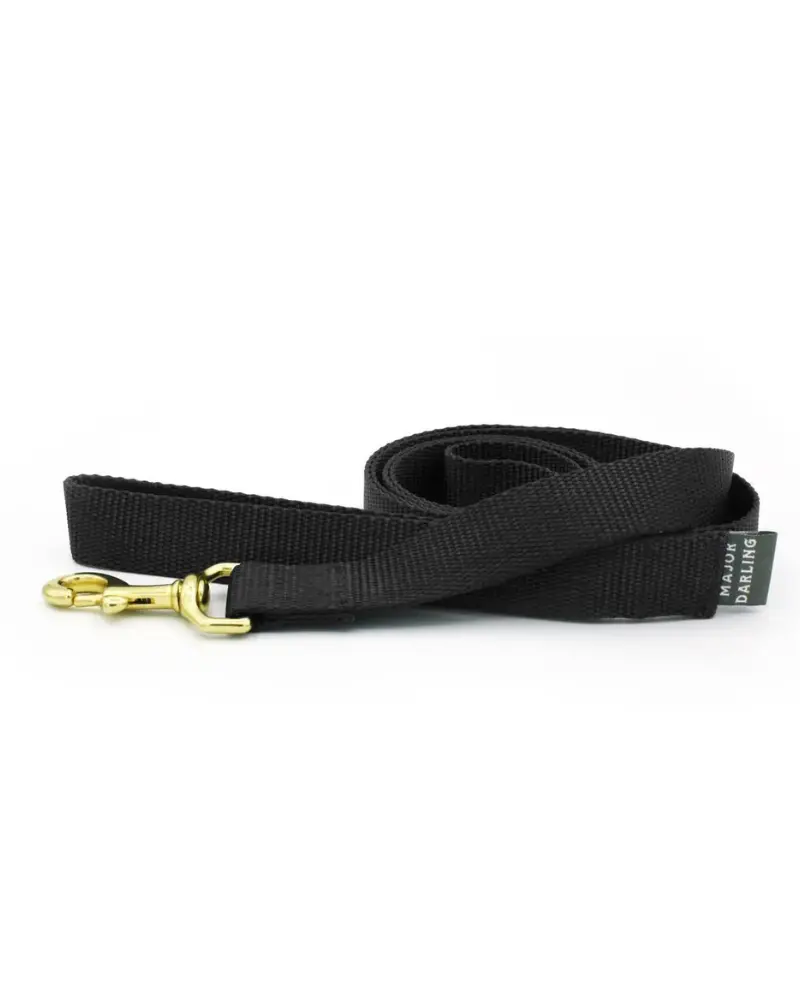 Basic Nylon Dog Leash In Black (Made In The Usa) 1