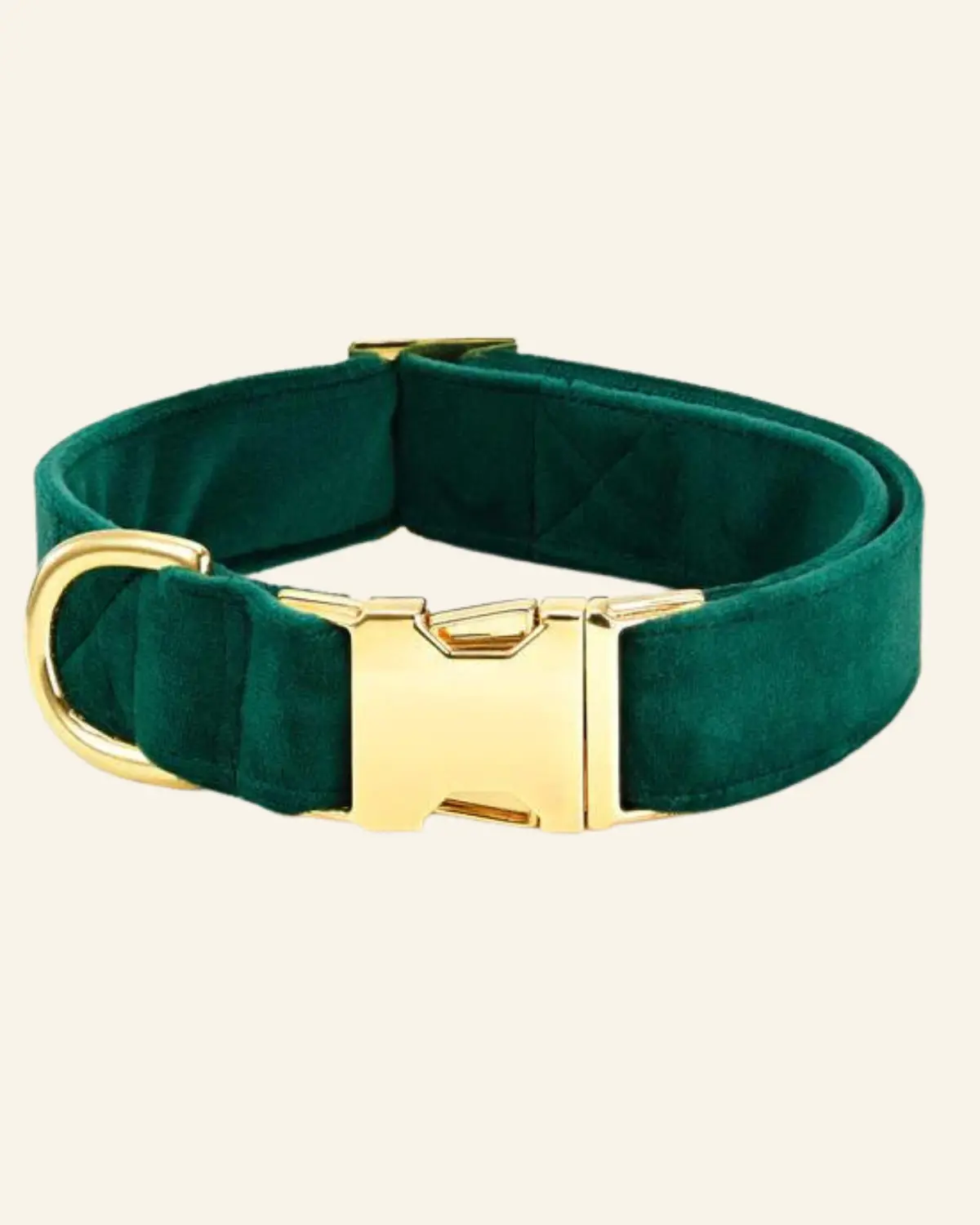 Forest Green Velvet Dog Collar (Final Sale) 1