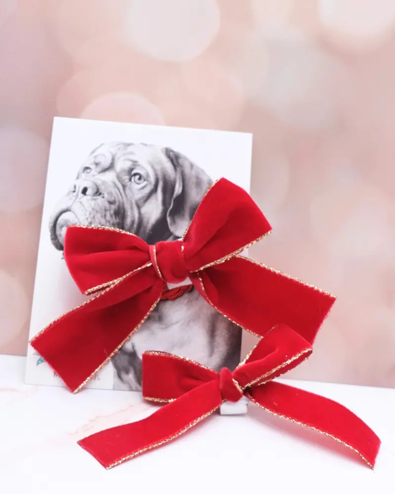 Holiday Velvet Ribbon Dog Bow (Made In The Usa) 1