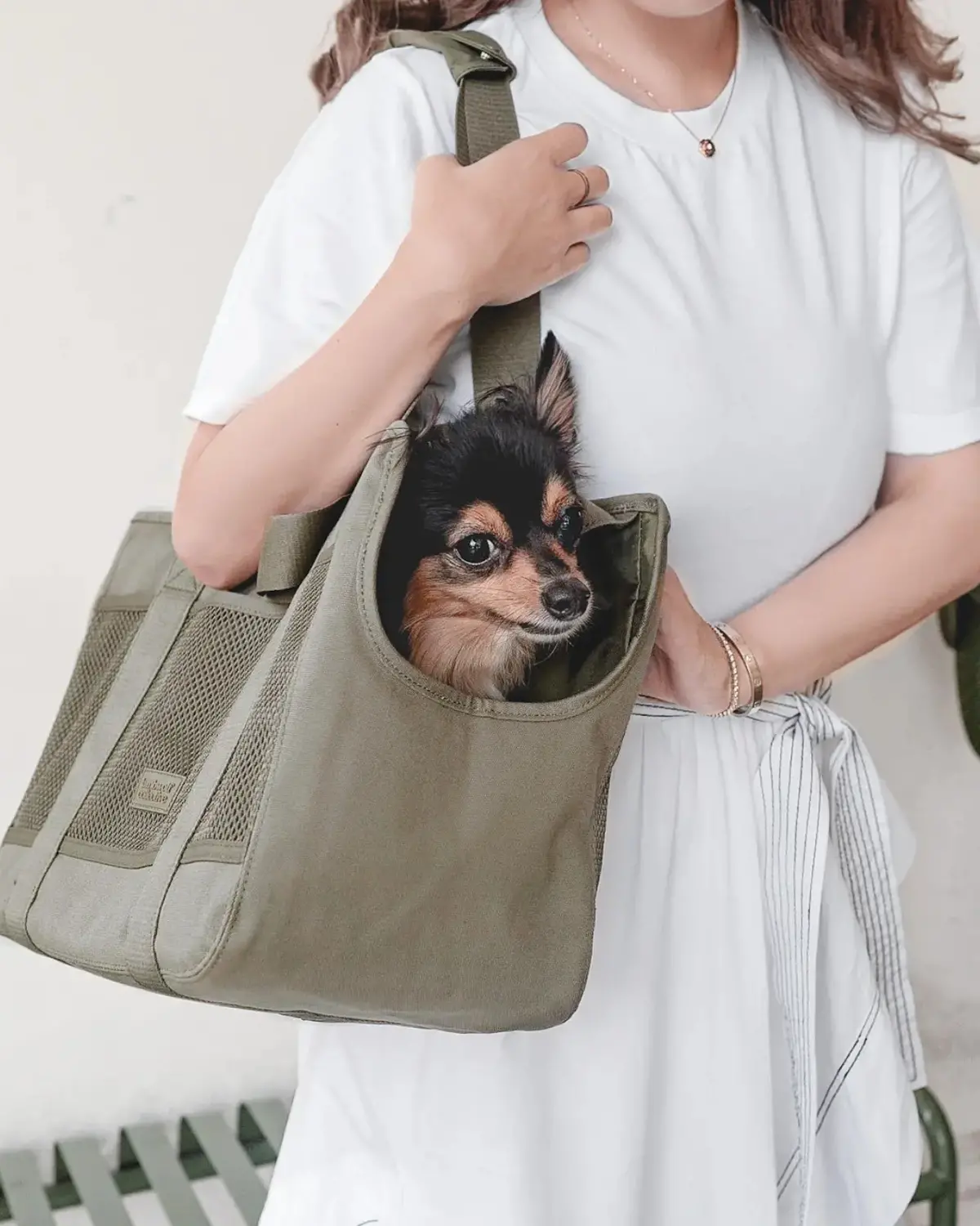 Subway Pet Carrier In Fern 1