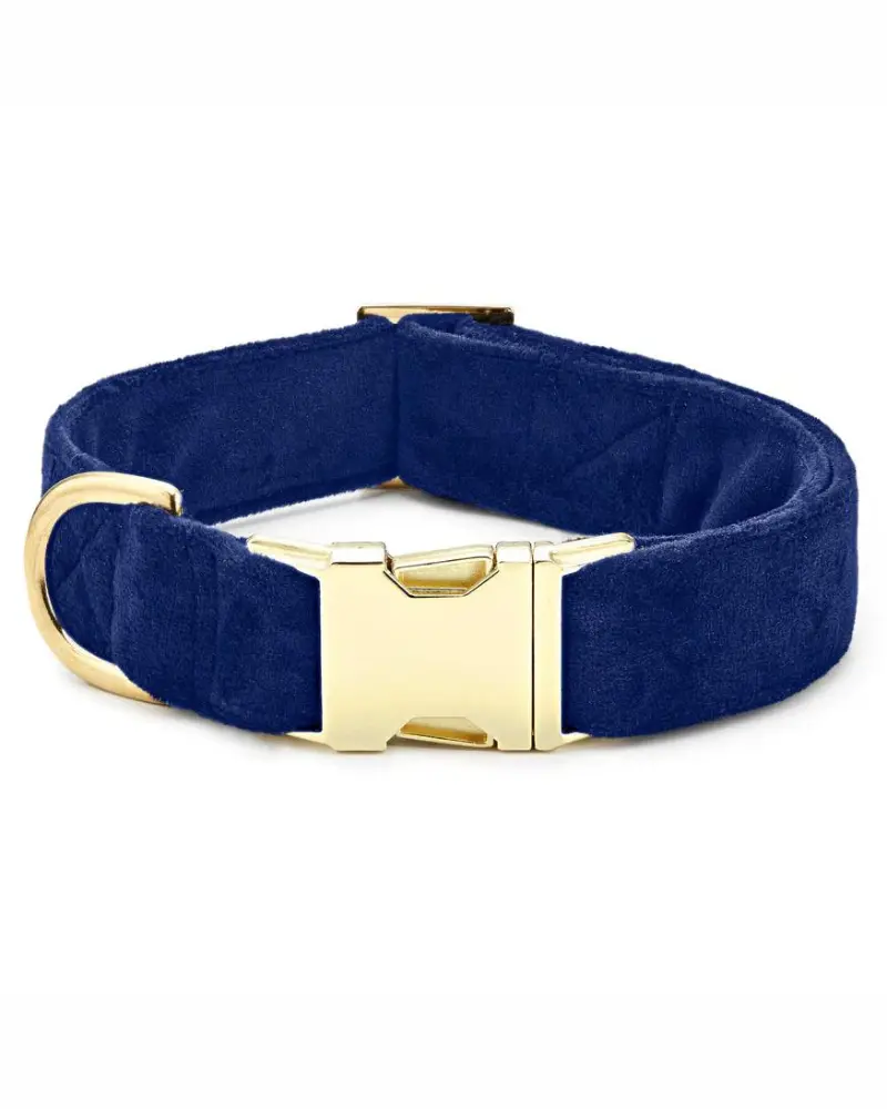 Navy Velvet Dog Collar (Made In The Usa) (Final Sale) 1