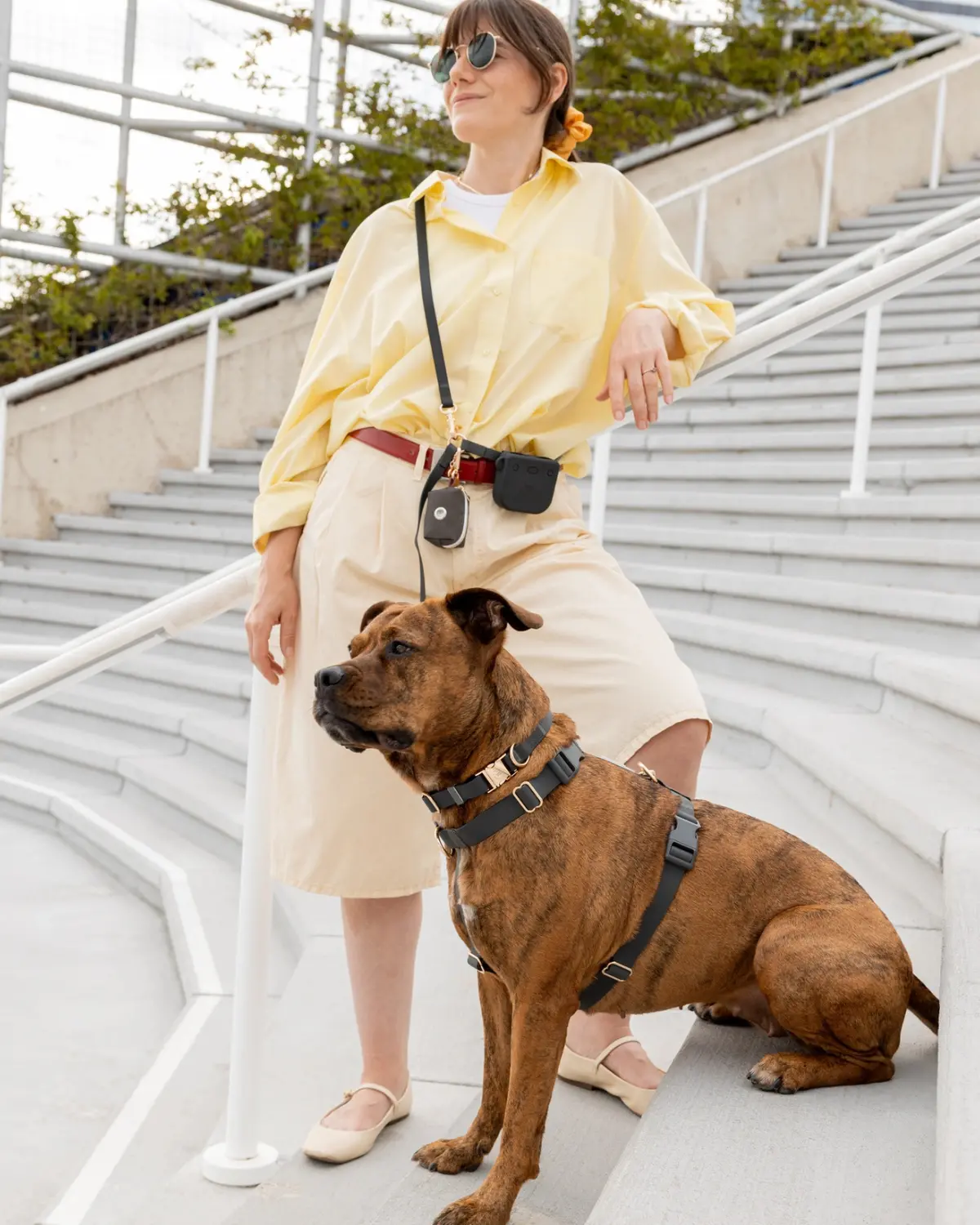 4-In-1 Convertible Hands Free Dog Leash In Ember Black 1