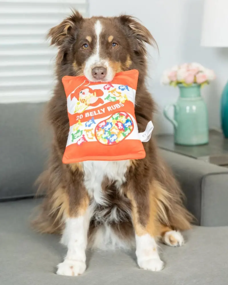 Puppy Belly Plush Dog Toy (Final Sale) 1
