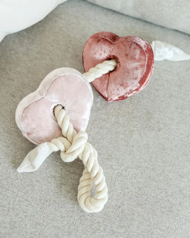 Heart Blocs Interactive Tug Dog Toy 1