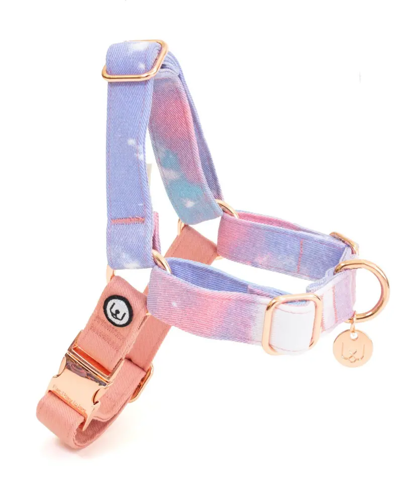 Adjustable No-Pull Dog Harness In Cotton Candy<Br>(Final Sale) 1