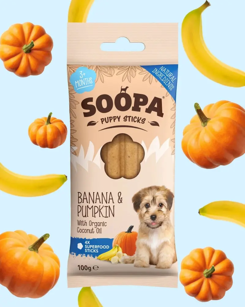 Banana & Pumpkin Dental Dog Sticks (For Puppies) 1