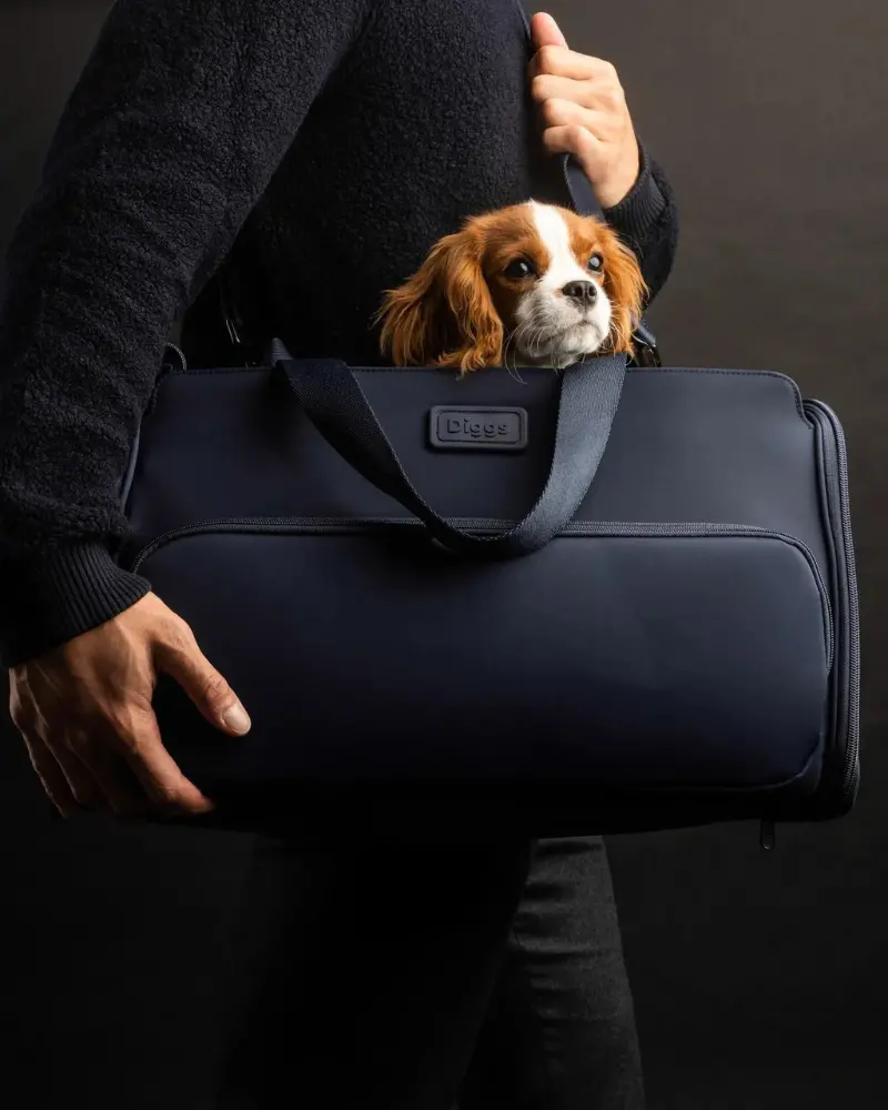Passenger Travel Pet Carrier (Airline-Friendly) 1
