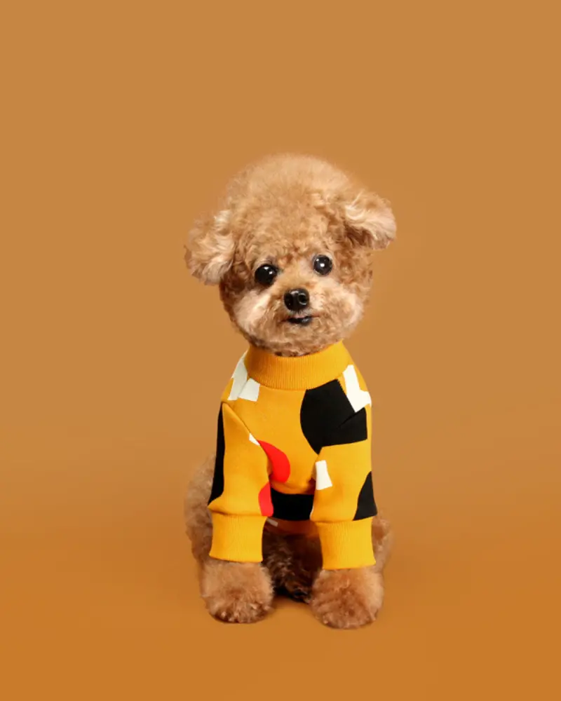 Colorful Design Dog Sweatshirt In Mustard Yellow (Final Sale) 1