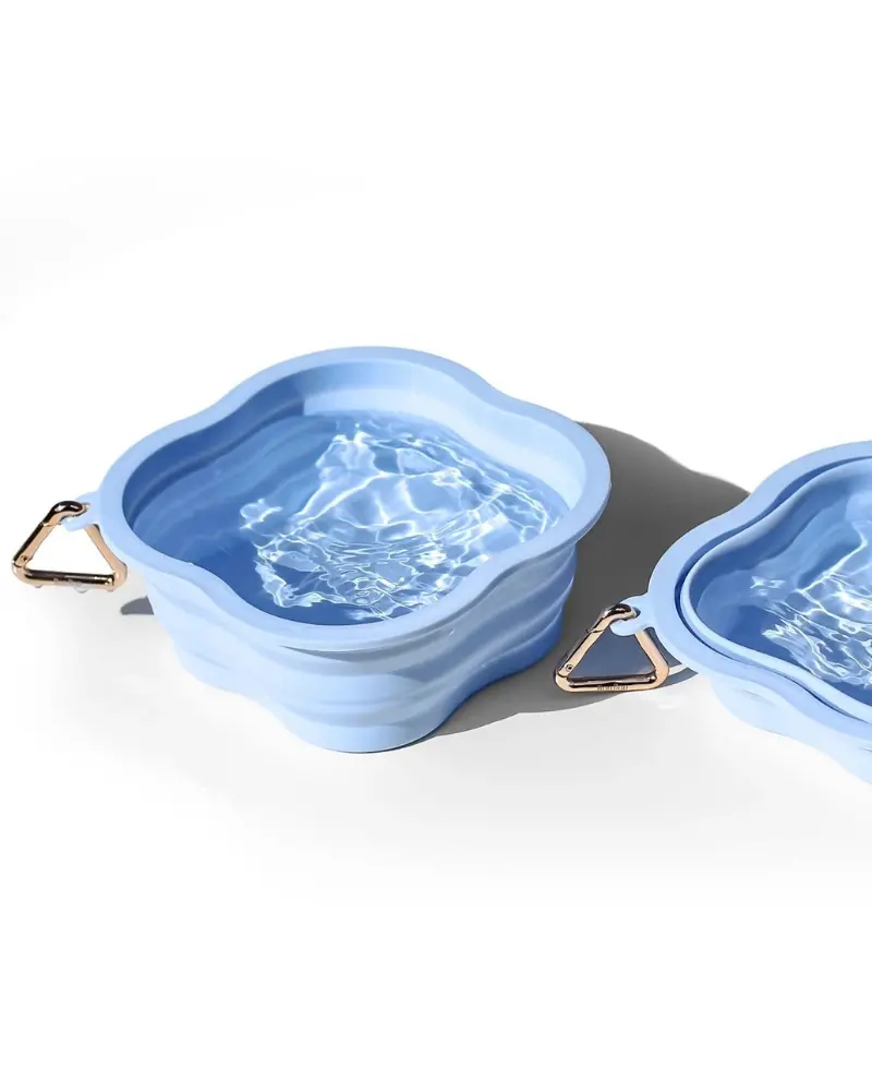 Collapsible Silicone Water Bowl 3