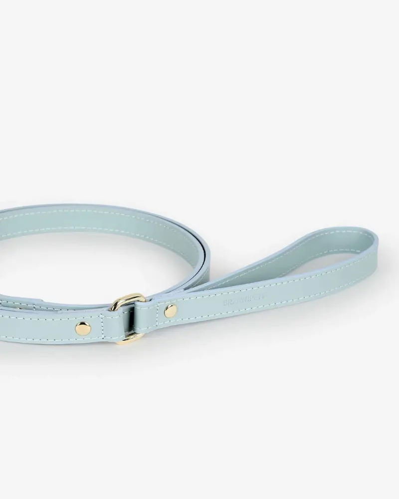 Sky Blue Nara Leather Dog Leash With Brass Hardware (Made In Italy) 2