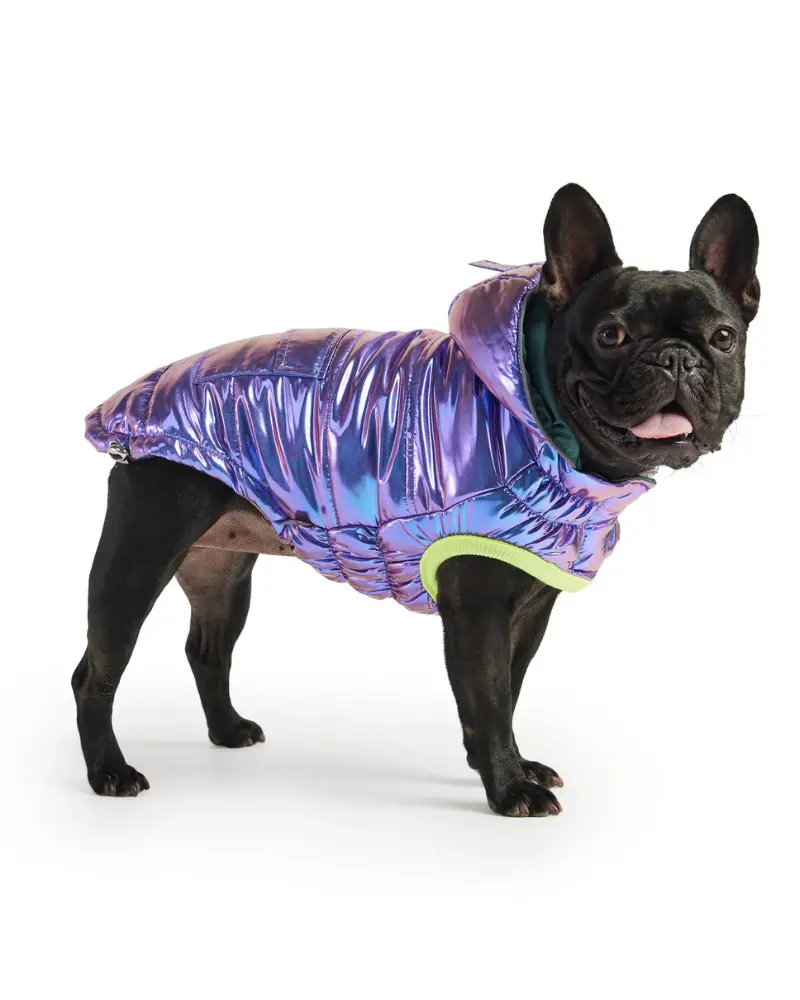 Recycled Arctic Dog Parka In Iridescent (Final Sale) 1