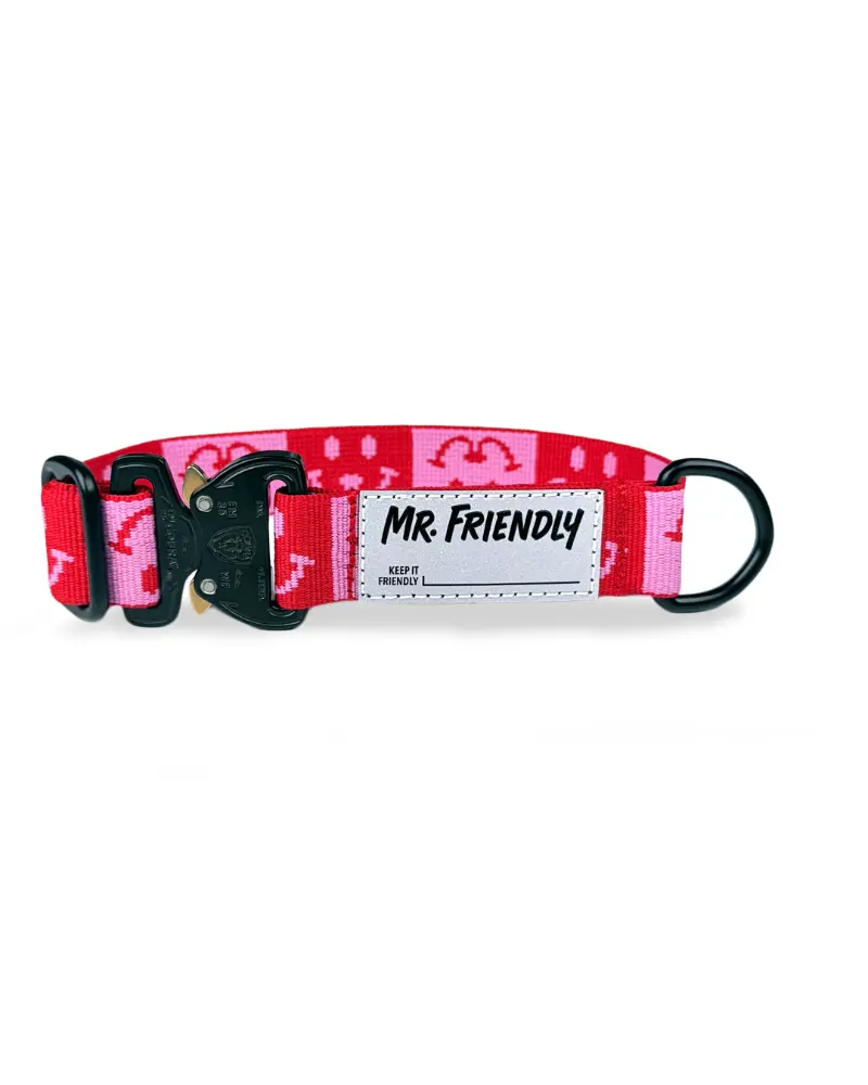 Dog Collar With Black Hardware In Pink & Red (Made In The Usa) 1