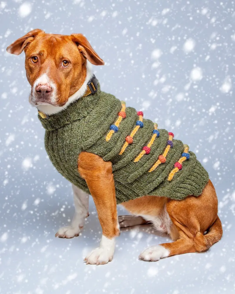 Christmas Tree Hand Knit Dog Sweater 1