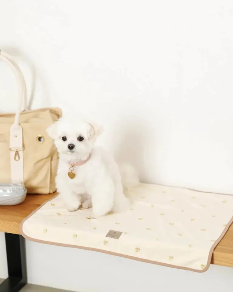 Embroidered Lemon Fold-Up Blanket Mat (Final Sale) 1