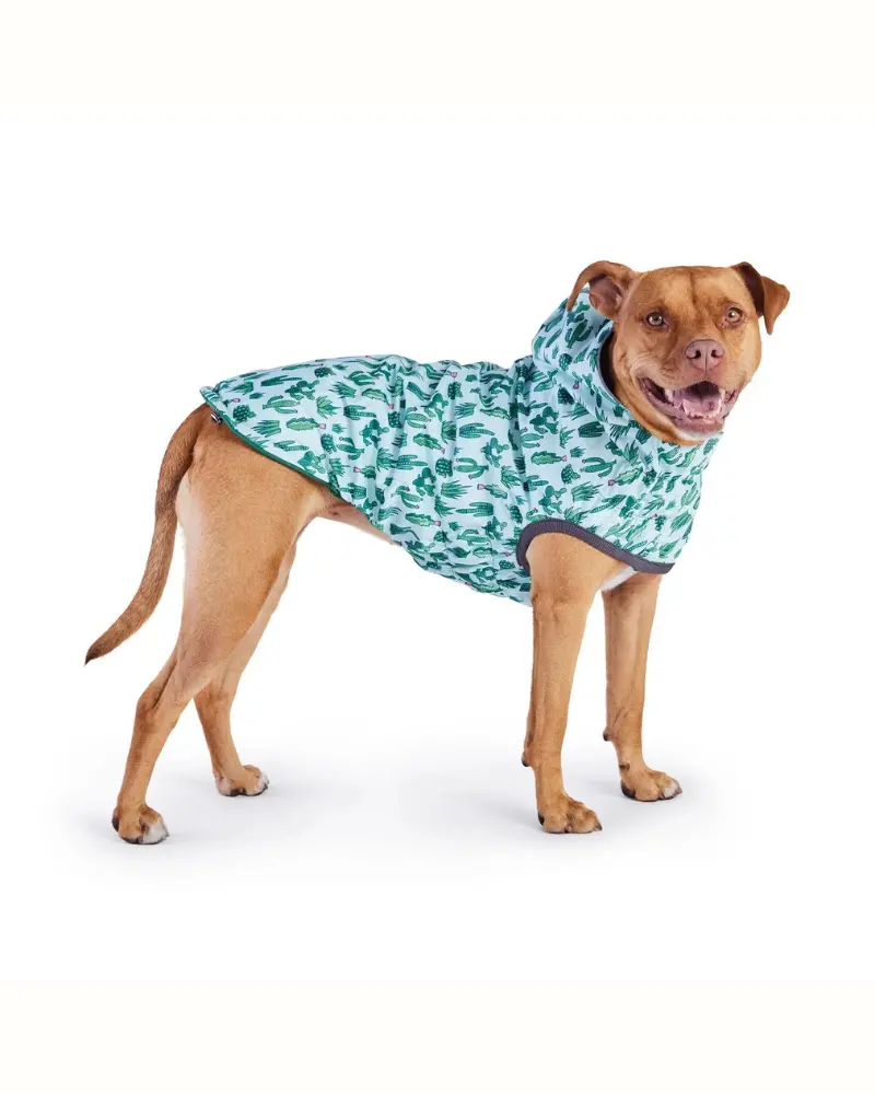 Reversible Waterproof Dog Raincoat In Green 4
