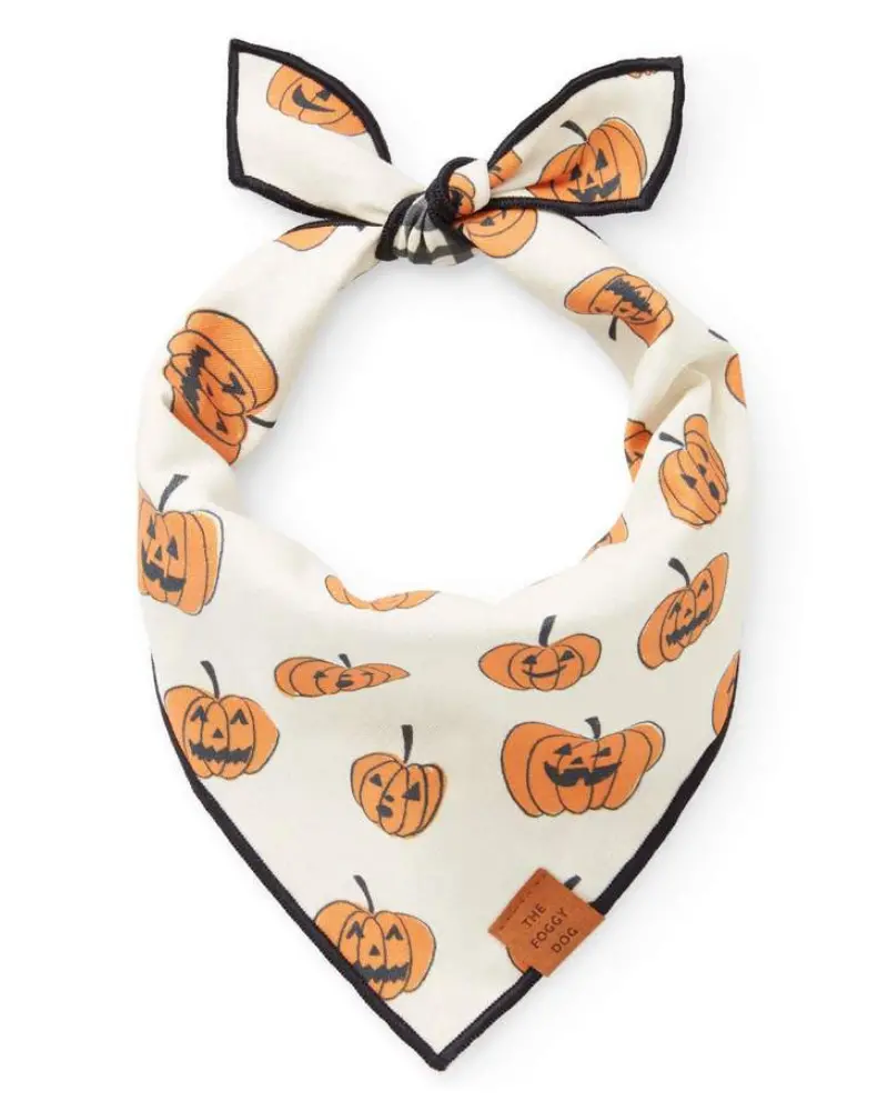 Pumpkin Patch Reversible Dog Bandana (Made In The Usa) 1