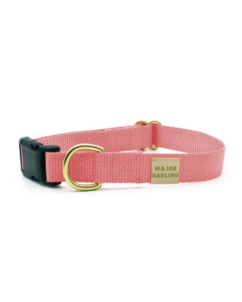 Side-Release Buckle Dog Collar In Pink (Made In The Usa) 1