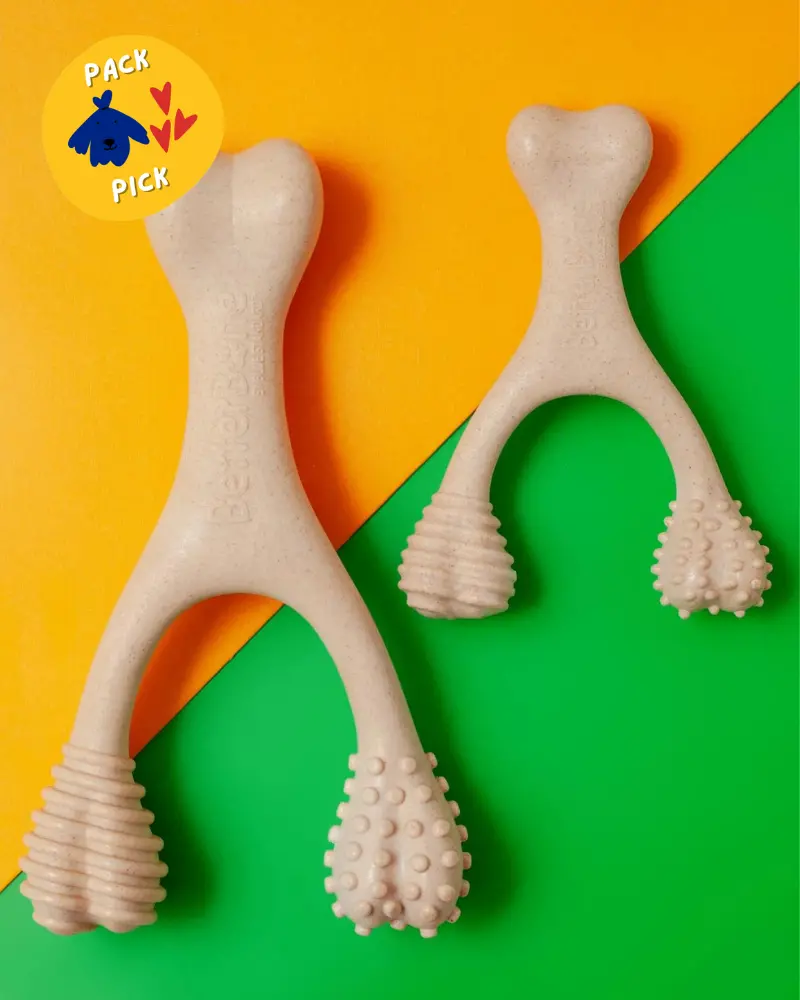 Tough All Natural Eco-Friendly Dog Chew Toy (Beef Flavor - Hard) 1