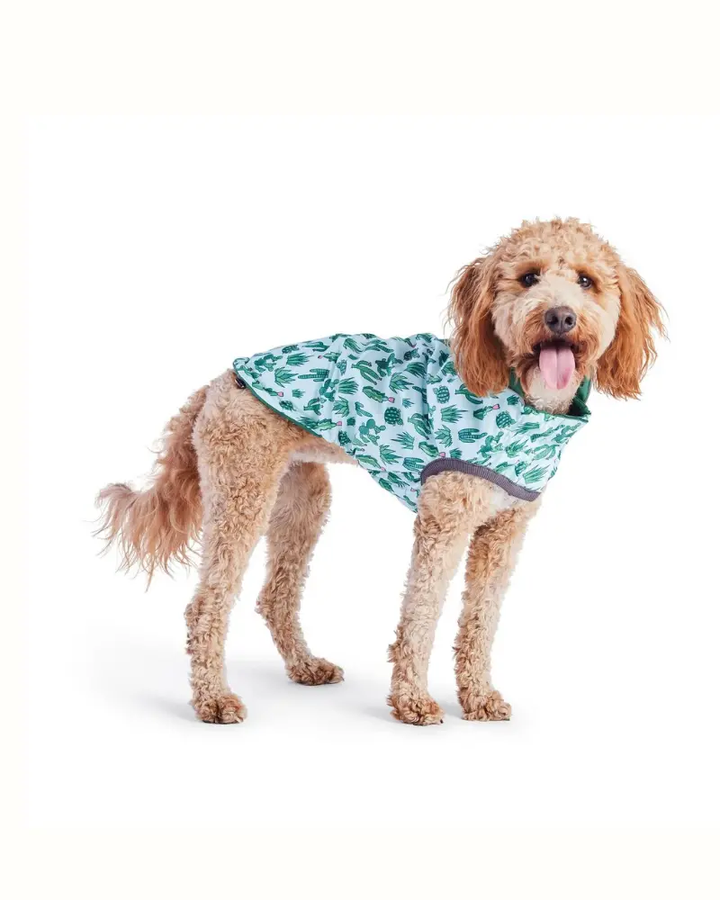 Reversible Waterproof Dog Raincoat In Green 6