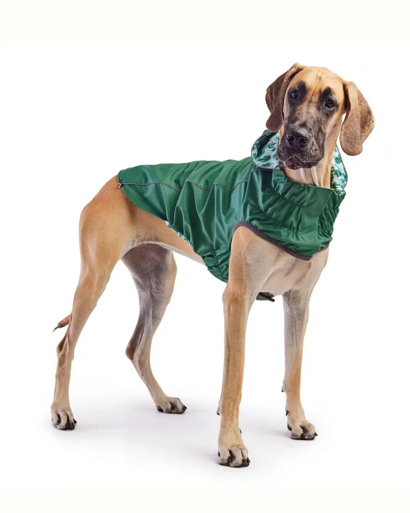 Reversible Waterproof Dog Raincoat In Green 7