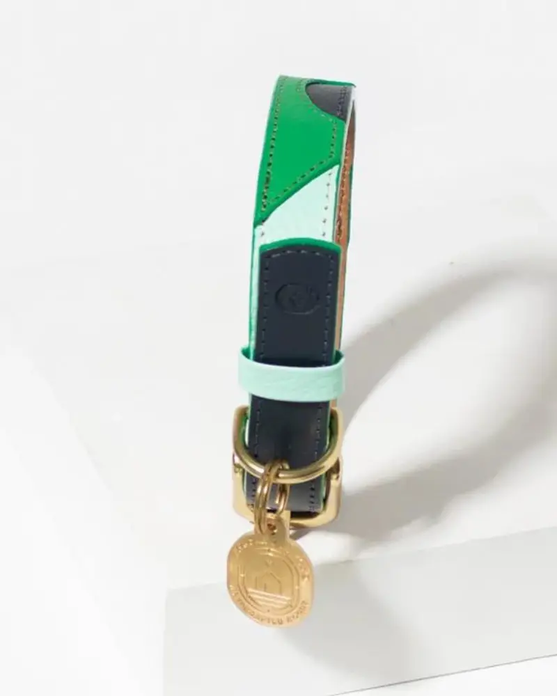 Brave Leather Dog Collar (Made In Guatemala) 1