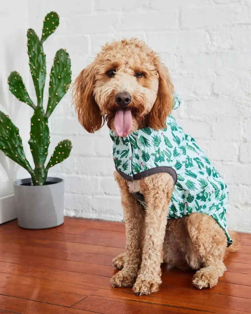 Reversible Waterproof Dog Raincoat In Green 2