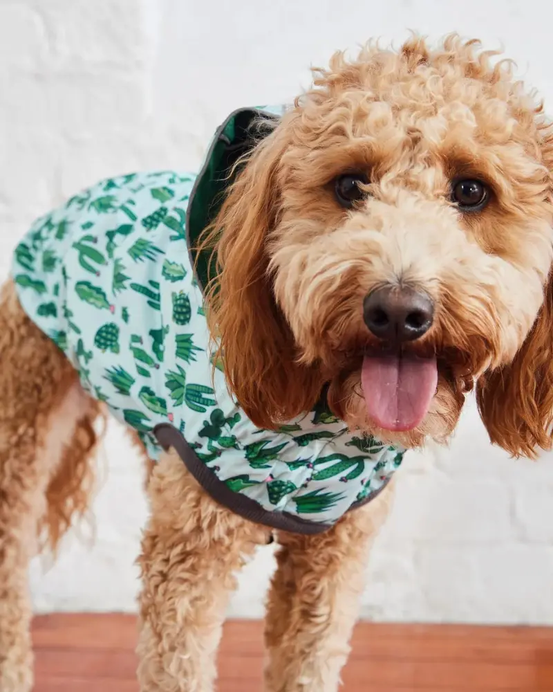 Reversible Waterproof Dog Raincoat In Green 8