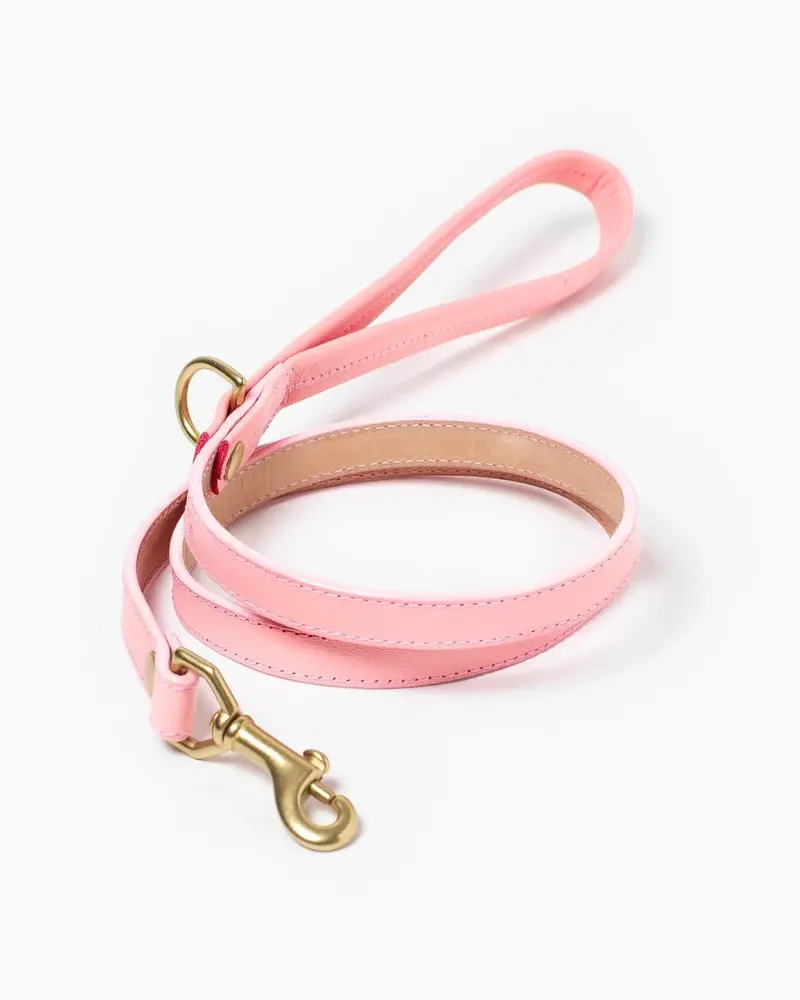 Sweet Leather Dog Leash (Made In Guatemala) 1