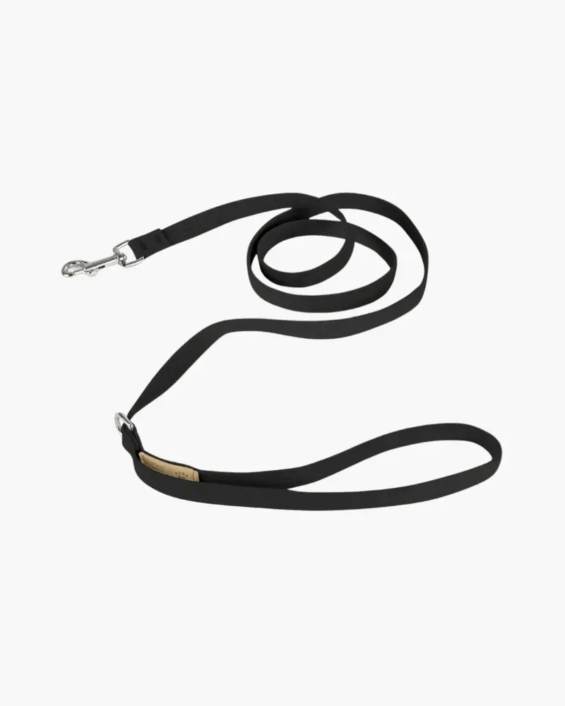 Ultrasuede Small Dog Leash In Black Or Lavender (Made In The Usa) 2