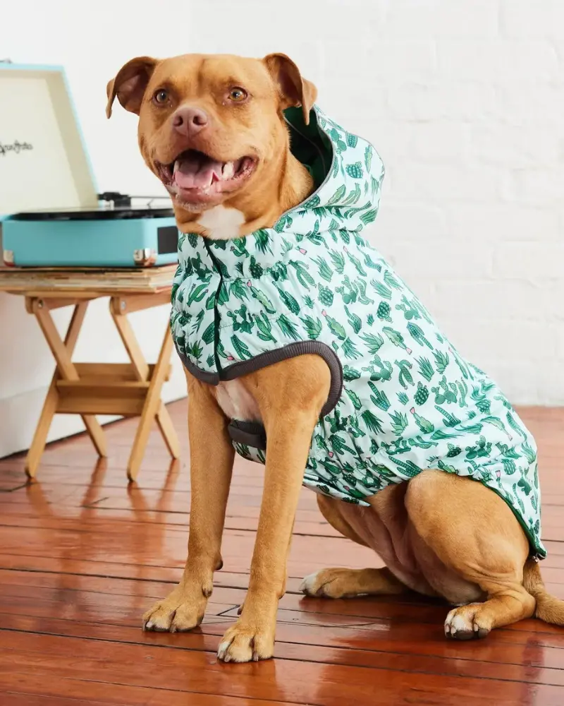 Reversible Waterproof Dog Raincoat In Green 9