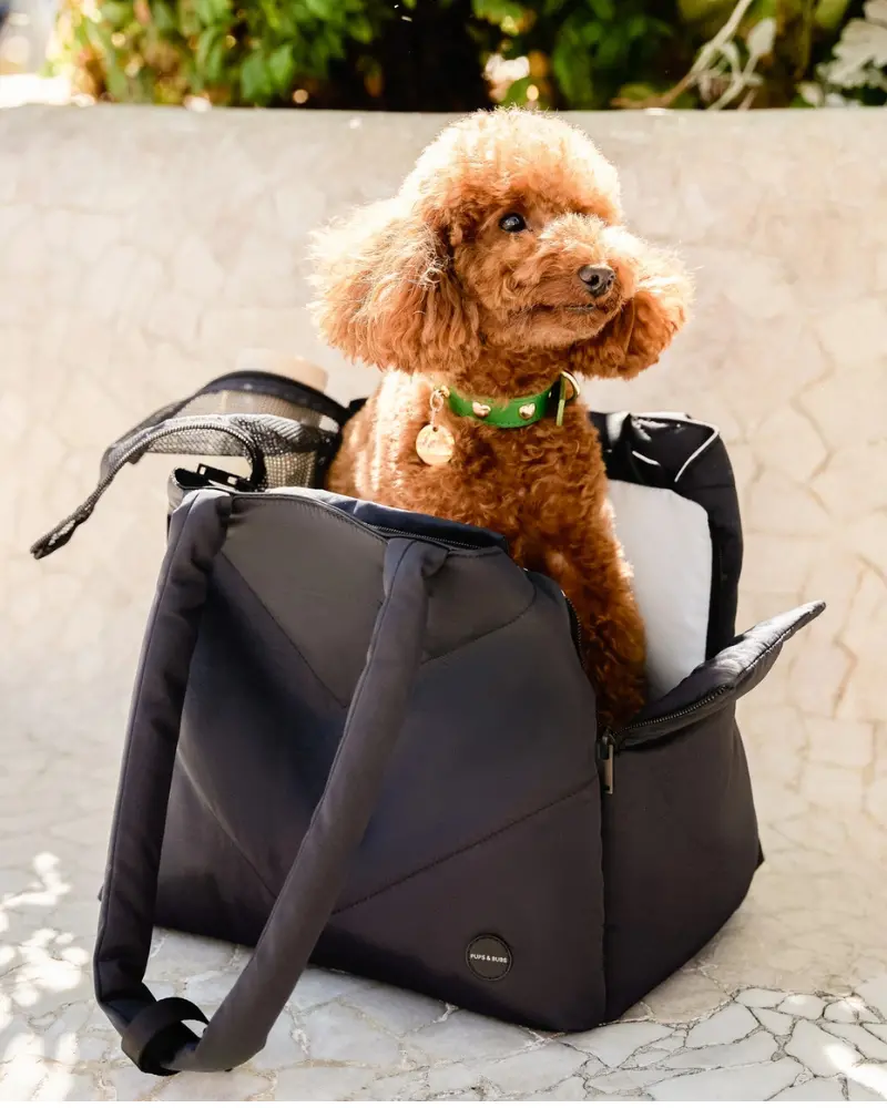 The Destination Pet Carrier Tote (Enclosed) 1