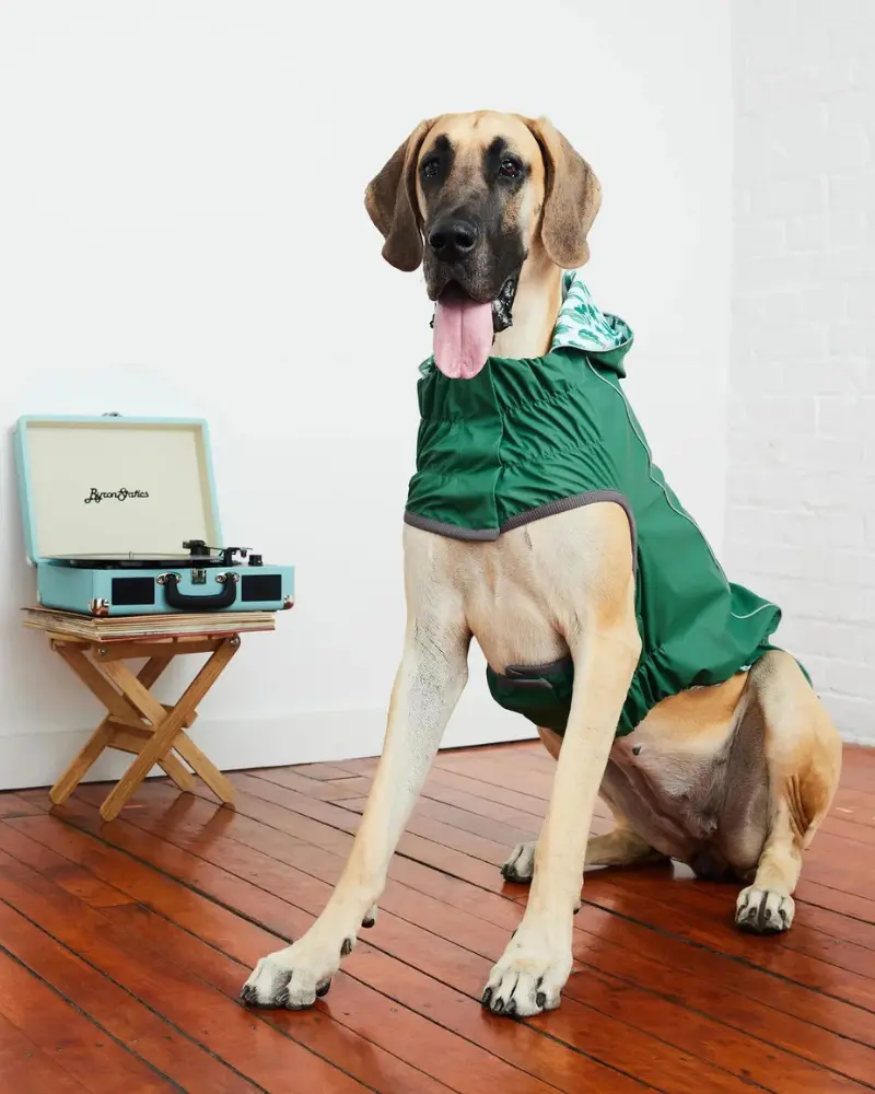 Reversible Waterproof Dog Raincoat In Green 1