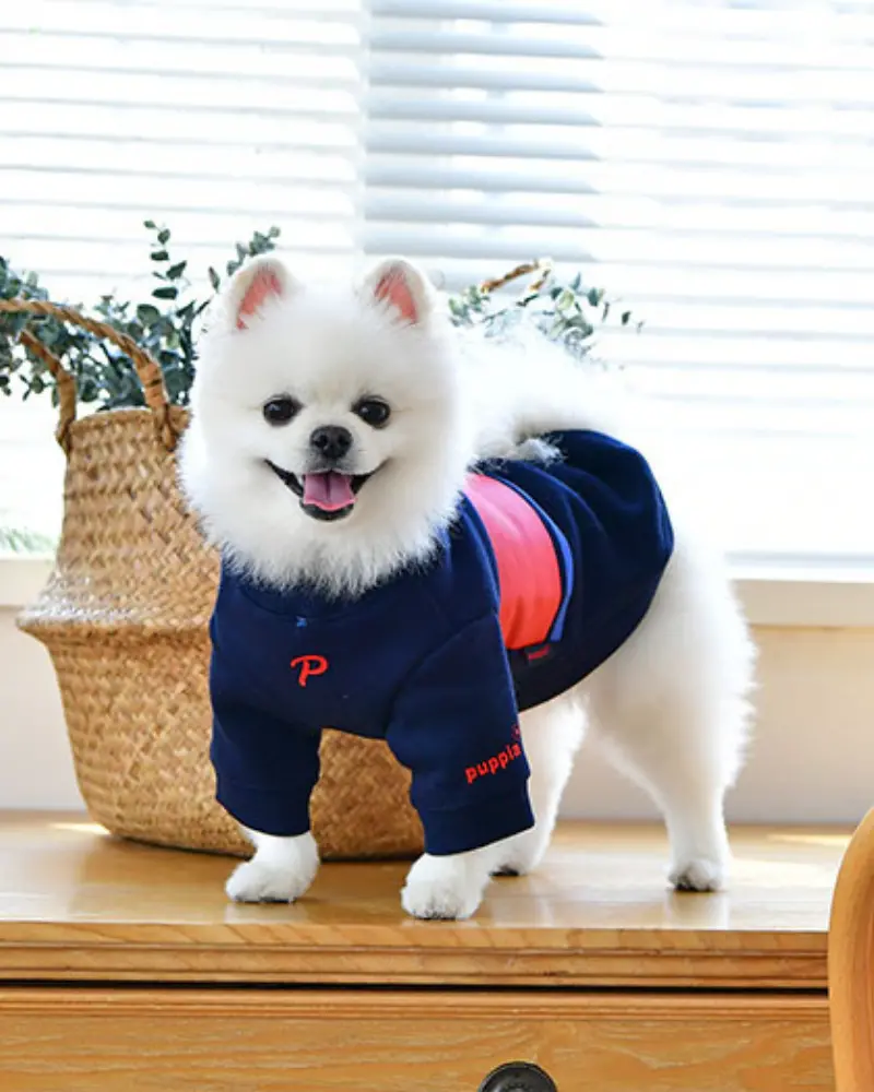 Blaze Long Sleeve Dog Pullover In Navy (Final Sale) 1
