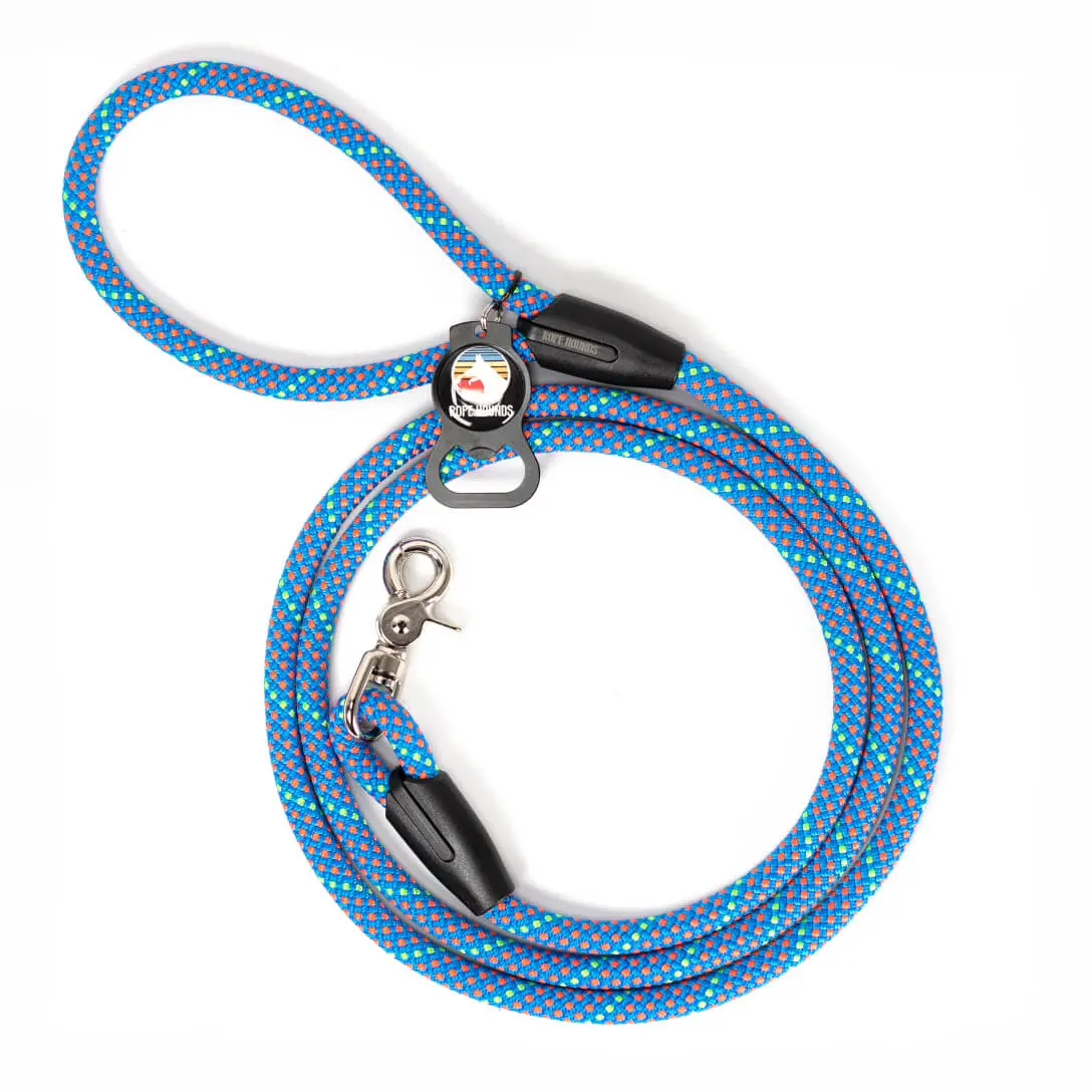Classic Dog Leash In Taffy Blue (Made In The Usa) 1