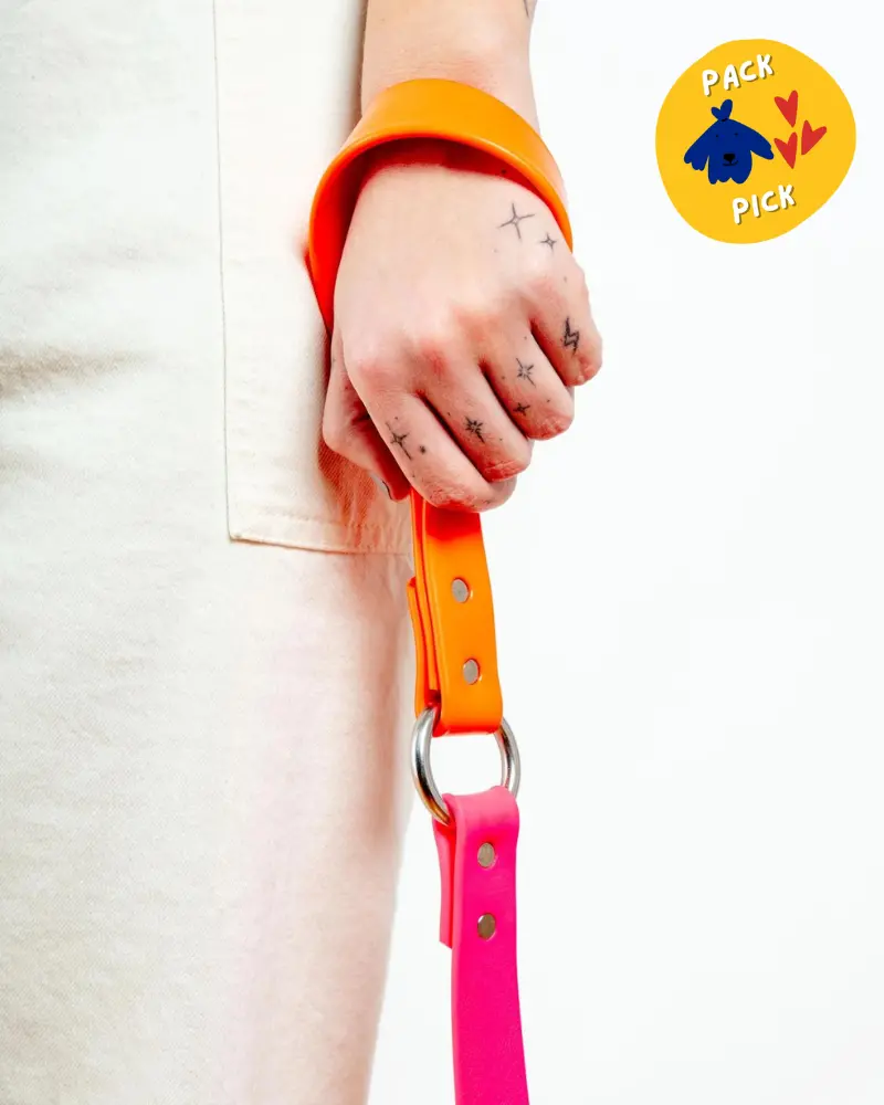 City Leash In Neon Pink & Neon Orange (4 Or 6 Foot) (Made In The Usa) 1